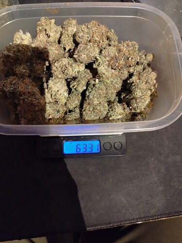 Growreport Bild 6