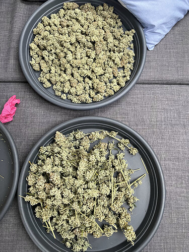 Growreport Bild 14