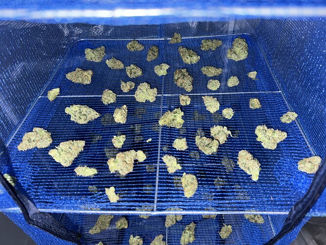 Growreport Bild 44