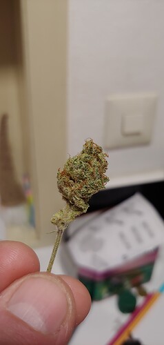 Growreport Bild 11
