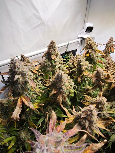 MVIMG_20251130_230109