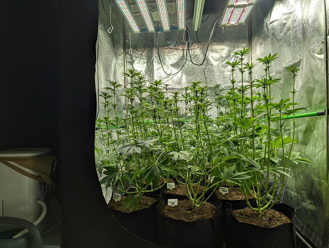Growreport Bild 6