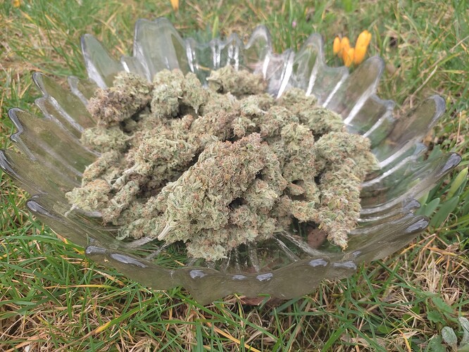 Growreport Bild 15