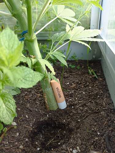 WhatsApp Bild 2025-06-19 um 08.51.10_42e6990b