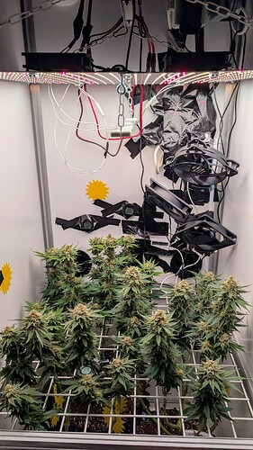 Growreport Bild 4