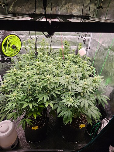 Growreport Bild 2