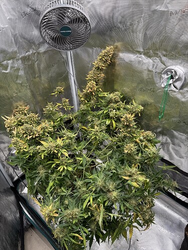 Growreport Bild 14