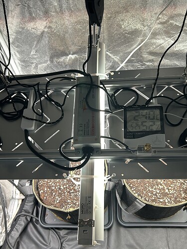 Growreport Bild 6
