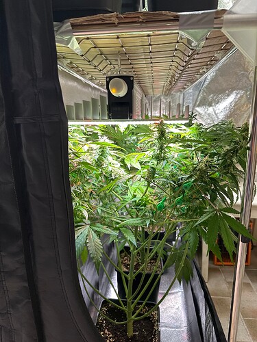 Growreport Bild 11