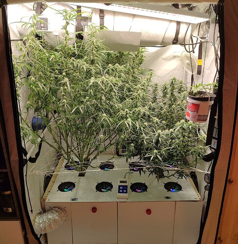 Growreport Bild 8