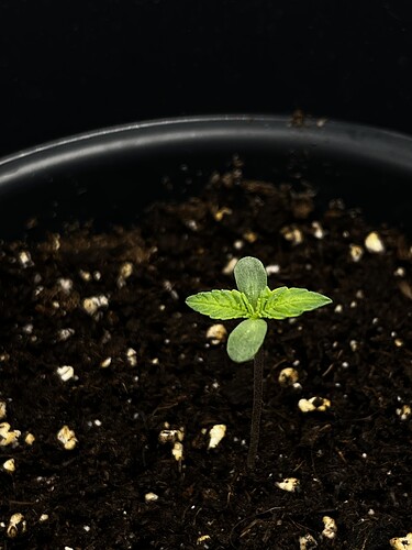 Growreport Bild 9