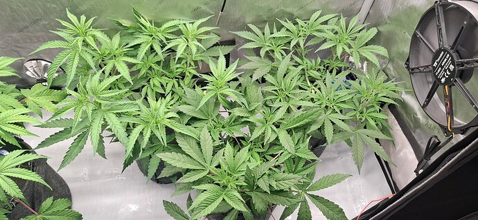 Growreport Bild 14