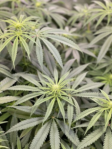Growreport Bild 18
