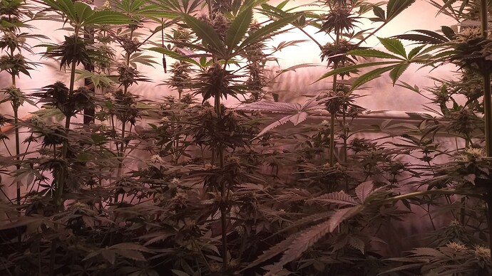 Growreport Bild 18