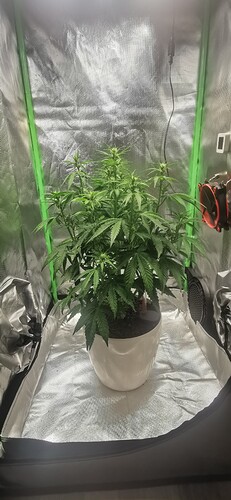 Growreport Bild 3