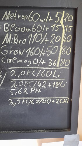 17234661590745440654927341788001