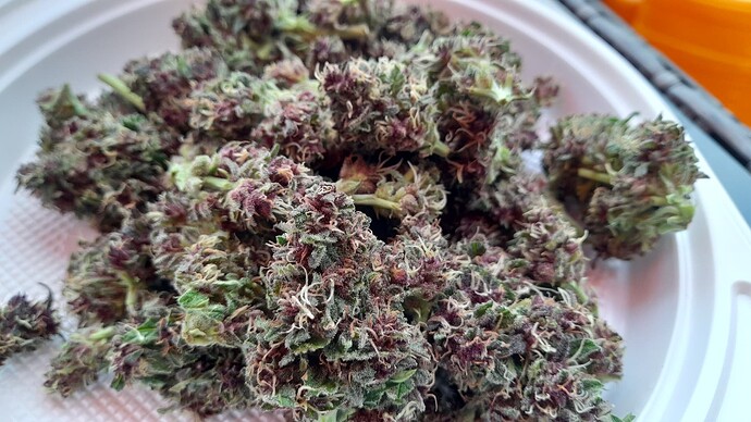 Growreport Bild 17