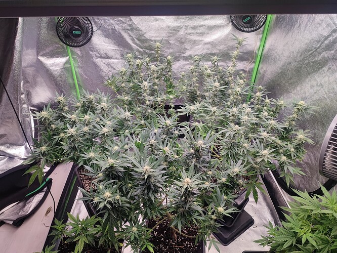 Growreport Bild 22