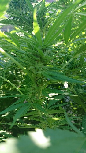 Growreport Bild 16