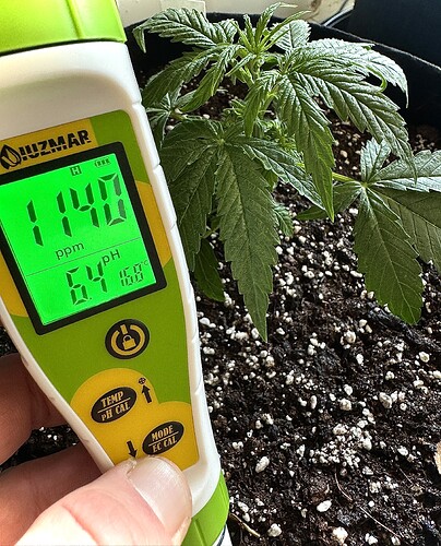 Growreport Bild 5