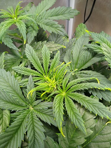 IMG_20240510_215726111