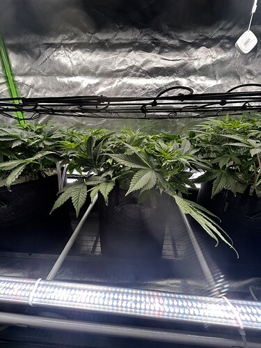 Growreport Bild 10