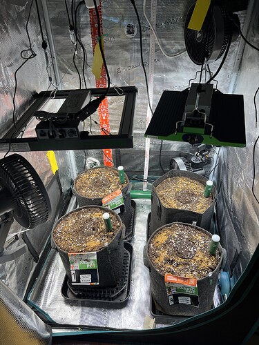 Growreport Bild 2