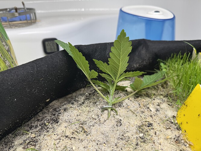 Growreport Bild 19
