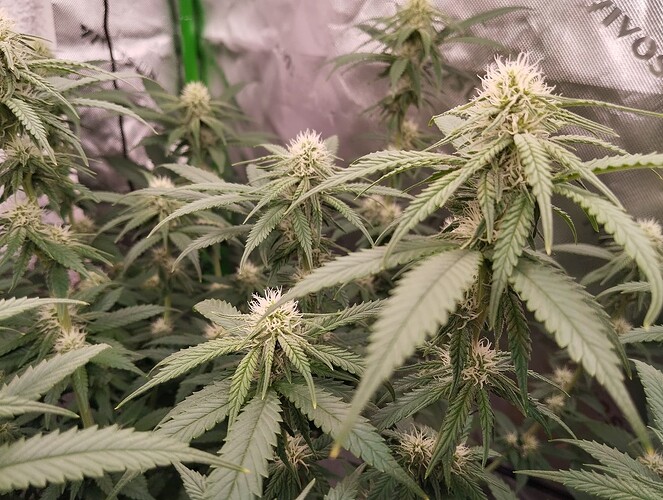 Growreport Bild 20