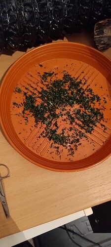IMG_20250211_123346869