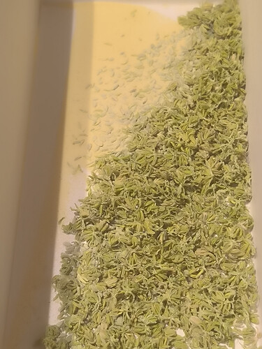Growreport Bild 3