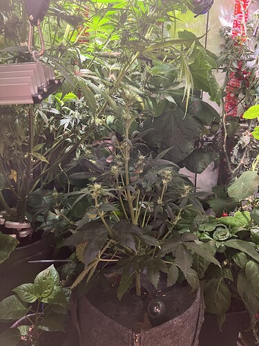 Growreport Bild 24