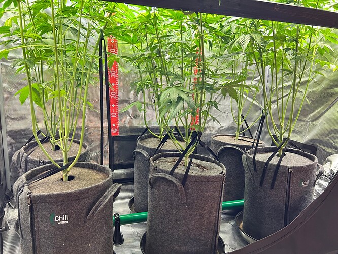 Growreport Bild 9
