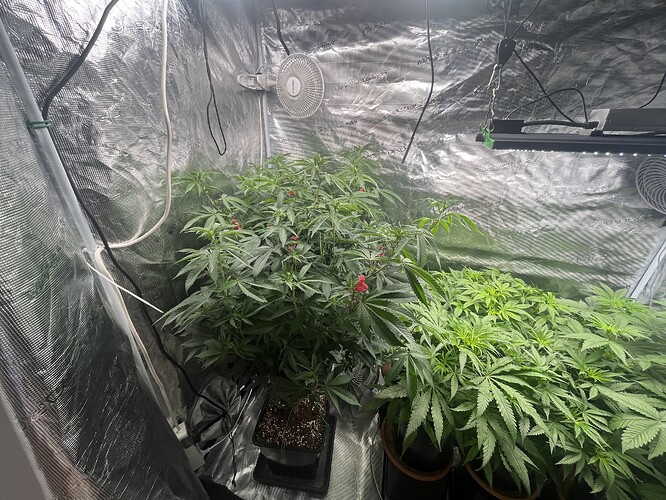 Growreport Bild 6