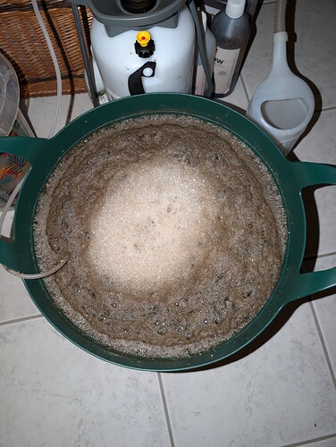 Growreport Bild 29