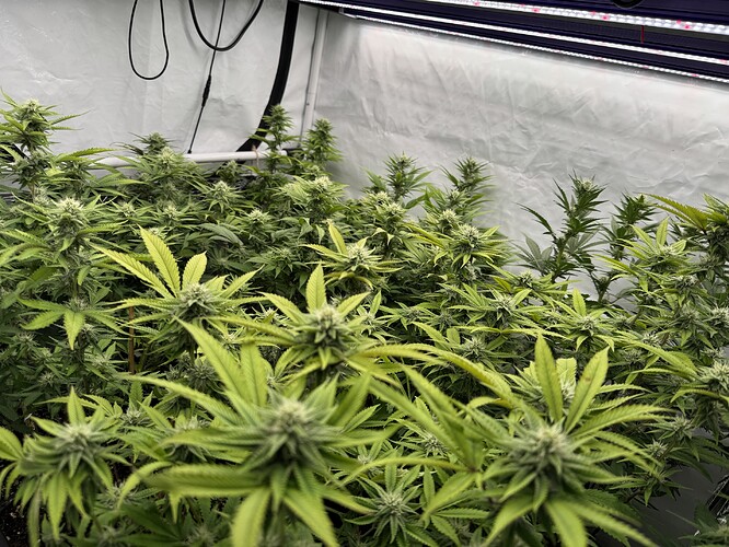 Growreport Bild 24