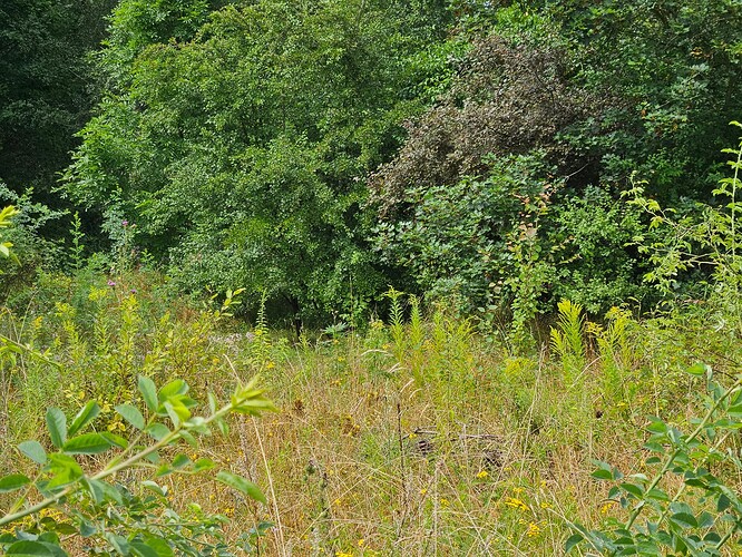 Growreport Bild 1