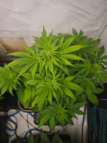 Growreport Bild 12