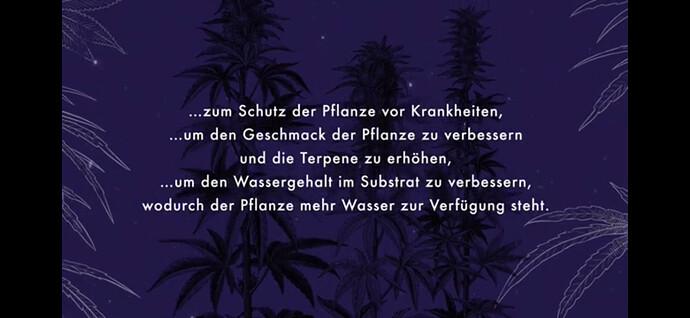 Growreport Bild 19