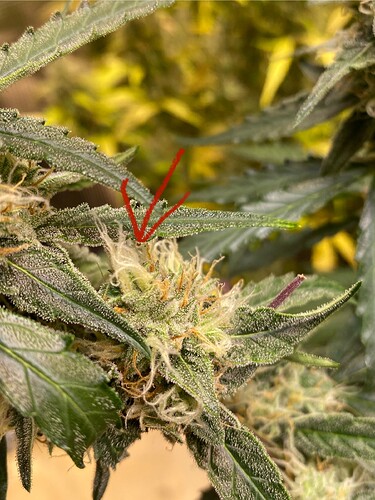 Growreport Bild 8