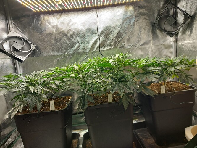 Growreport Bild 2