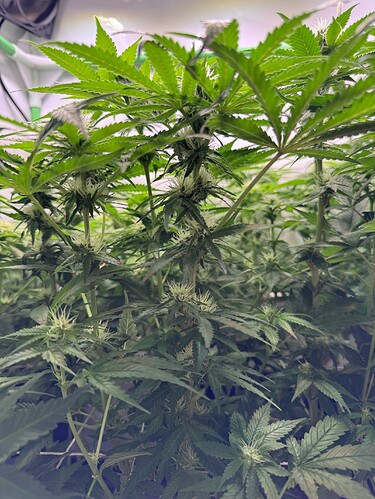 Growreport Bild 22
