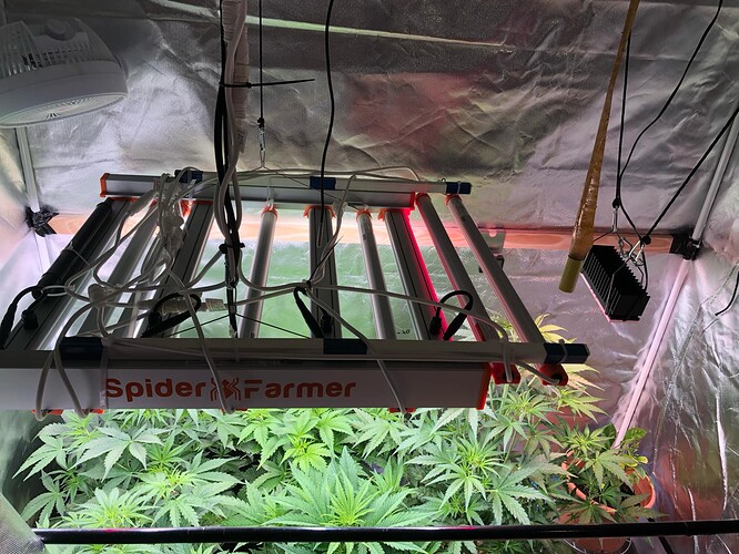 Growreport Bild 13