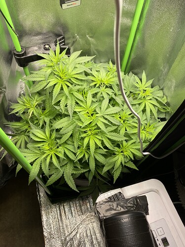 Growreport Bild 88