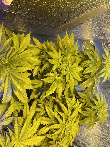 Growreport Bild 8