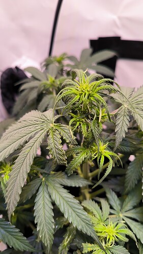 Growreport Bild 23