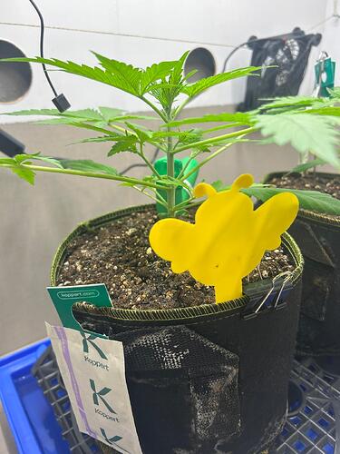 Growreport Bild 9