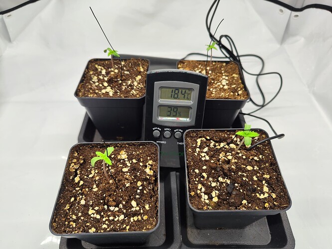 Growreport Bild 7