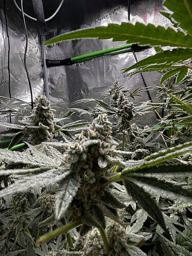 Growreport Bild 30