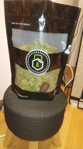 Growreport Bild 31